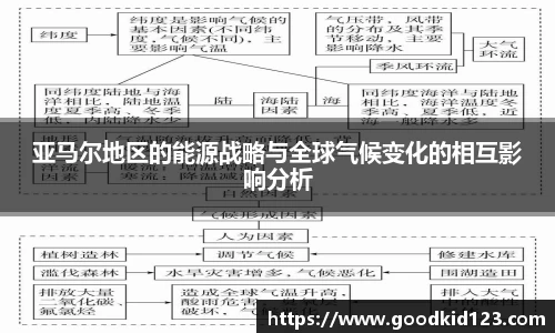 NG体育